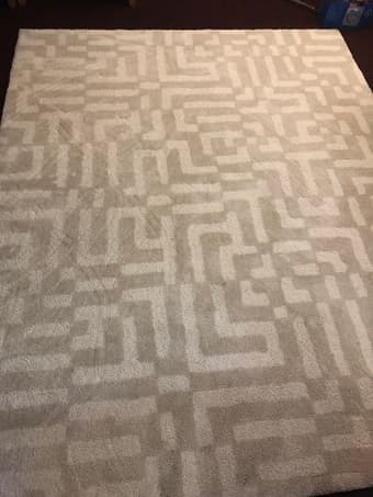 Large area rug 1