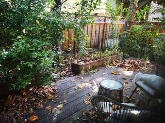 Spacious private 1b1b at Mountain View $1850 August one year lease 2