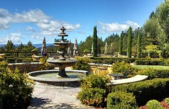August (this August!) Winery Wedding in Los Gatos, CA 2