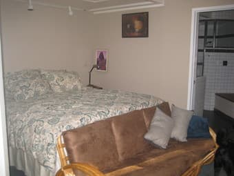 Avail 7/9 Large Master bedroom with big bathroom in large airy house 3