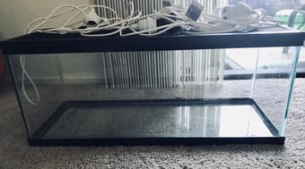 20 gallon terrarium 1