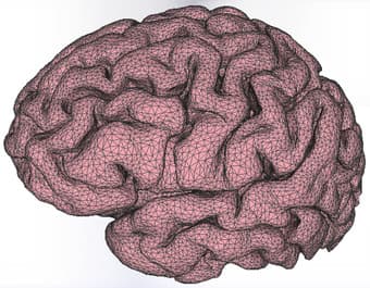 Research Expereince in Neuroscience & Psychiatry $15/hr 1