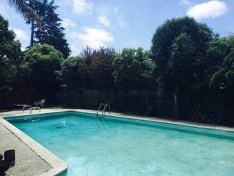 Palo Alto Summer sublet, room in a 6bd house with pool! 1