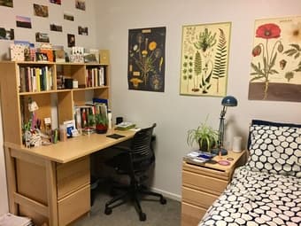 Apt w spacious furnished bedroom/living room on campus July 9 - Aug 23 2
