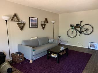 Great Master Bed in beautiful MTV apt near Campus! -available now! 3