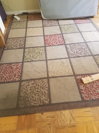 Area rug 1