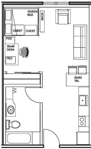 Spacious EV Premium Studio [Available Aug. 6-17] 1