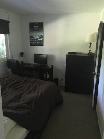 Three rooms available in a Palo Alto house with a pool! 3
