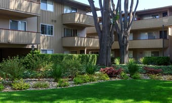 Sunny Private Furnished Bedroom in 2b/2b available 8.20-9.14 3