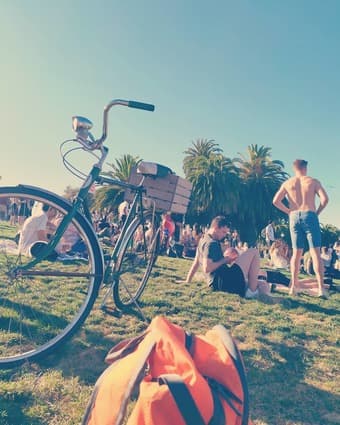 1973 Schwinn Speedster, for vintage enthusiasts 2