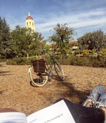 Most beautiful bike in the Silicon Valley 3