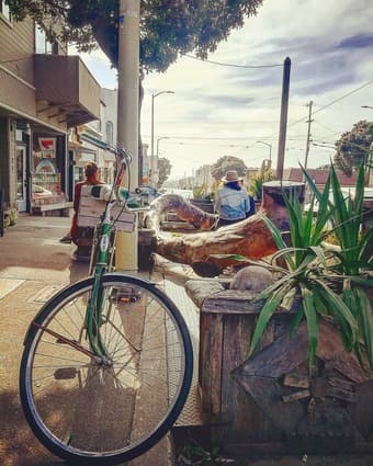 1973 Schwinn Speedster 2