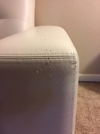 White leather chair 2