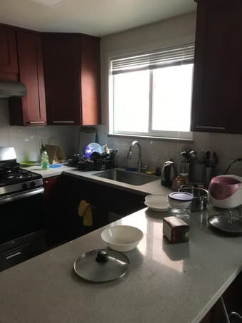 Two Teachers Looking for One or Two New Roommates 2