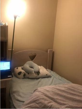 Near campus room for rent $800 - 1st September to 21st September 1