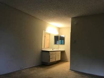 Room with private bath in 2br/2ba August 9 - September 1 3