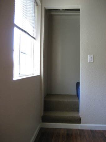 Room + Half Bath in Well-Situated Mountain View Townhome 2
