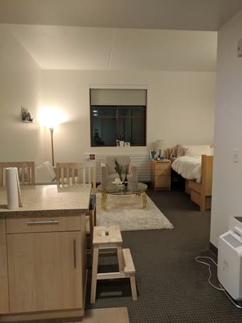 Matching sofa and armchair slipcovers - perfect for on campus housing 1