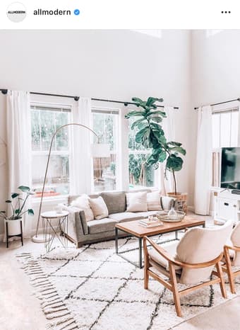 CB2 Modern Rug 3