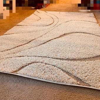 Moving sale: rugs, heater, desk lamps 1