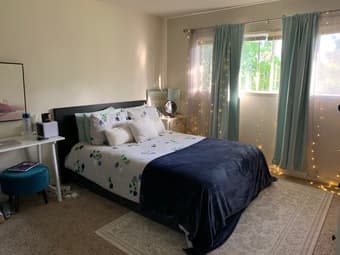 Large Master BR, Mountain View near Castro St. 1