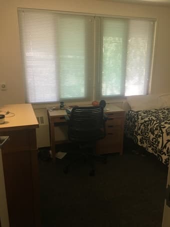 Aug. 24-Sept. 22 Sublet available: my room in EV 3 bedrm/1 bath FEMALE 2