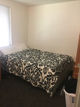 Aug. 24-Sept. 22 Sublet available: my room in EV 3 bedrm/1 bath FEMALE 3