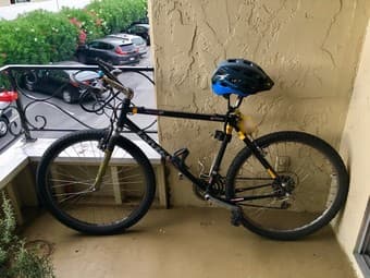 Black Alphina Pro mountain bike 1