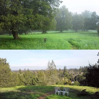 Join our wonderful co-op, close to nature, 20 min commute to Stanford 2