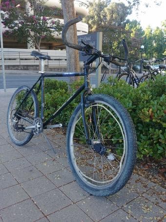 Diamond bike with horns 1