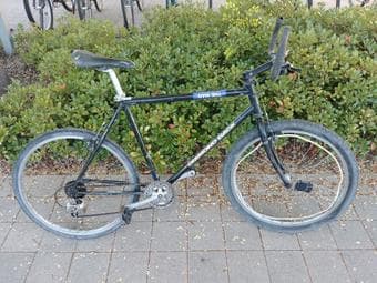 Diamond bike with horns 2