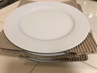 brand new dinner plates 1