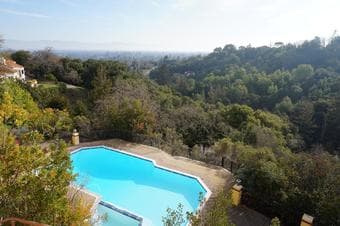Looking for a new housemate in a huge house 1