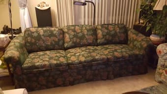 Sofa bed and love seat for sale 1