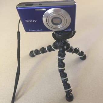 Sony digital camera 1