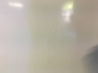 Large Magnetic White Board 2
