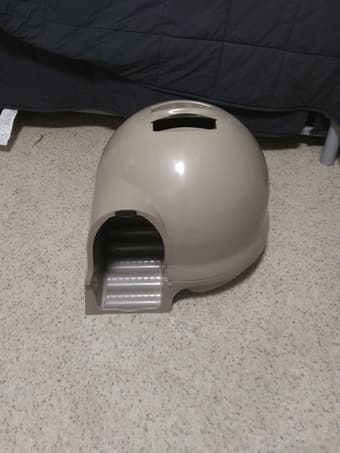 Dome cat litter box 1