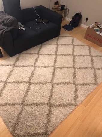 Beautiful new 6' by 9' ivory carpet for sale 1