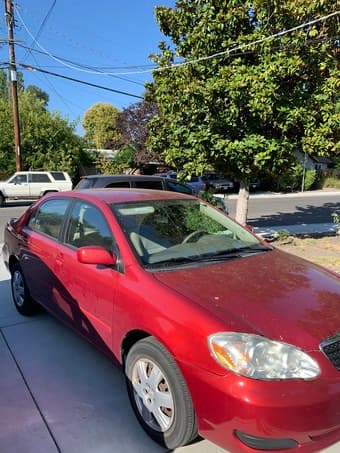 2006 Toyota Corolla LE ($7k OBO) 3