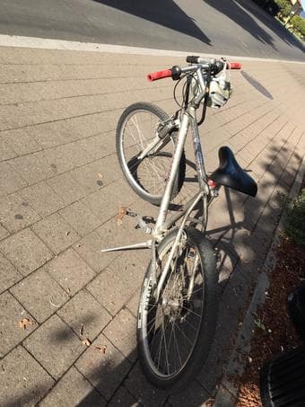 Mountainbike 1