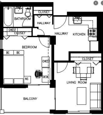 1 bedroom apartment in EV for 1 month Dec. 9-January 8th 3