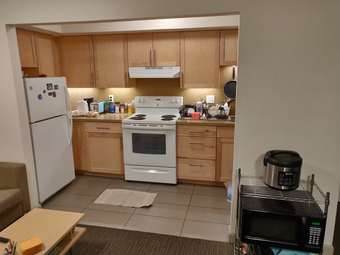 Renovated Rains sublet for December and January 3