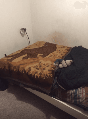 $20/NIGHT! Downtown Palo Alto, Hippie House (12/10-1/17) 1