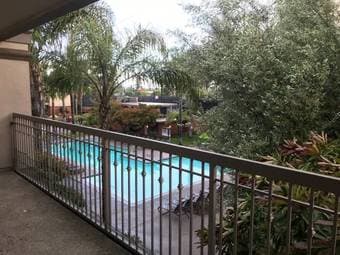 Large bedroom and private bath in 2bd/2ba apartment 2