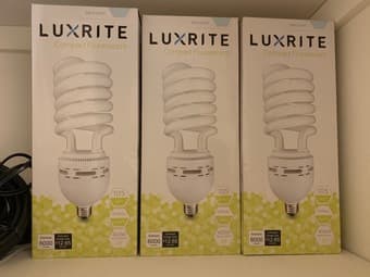 Desk Lamp + Bulb 3