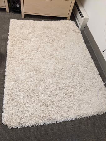 Creamy white carpet (3'3'' by 4'7'') 1