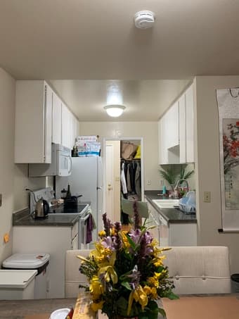 Private Room and Full Bath in 2b/2b in Mountain View 3
