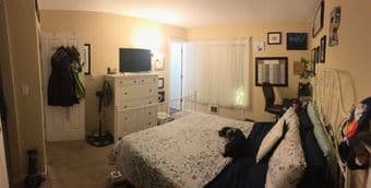 Mountain View Master Bed and Bath + loving dog 1