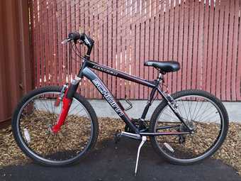 Schwinn Ranger mountain bike 1