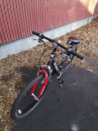 Schwinn Ranger mountain bike 2